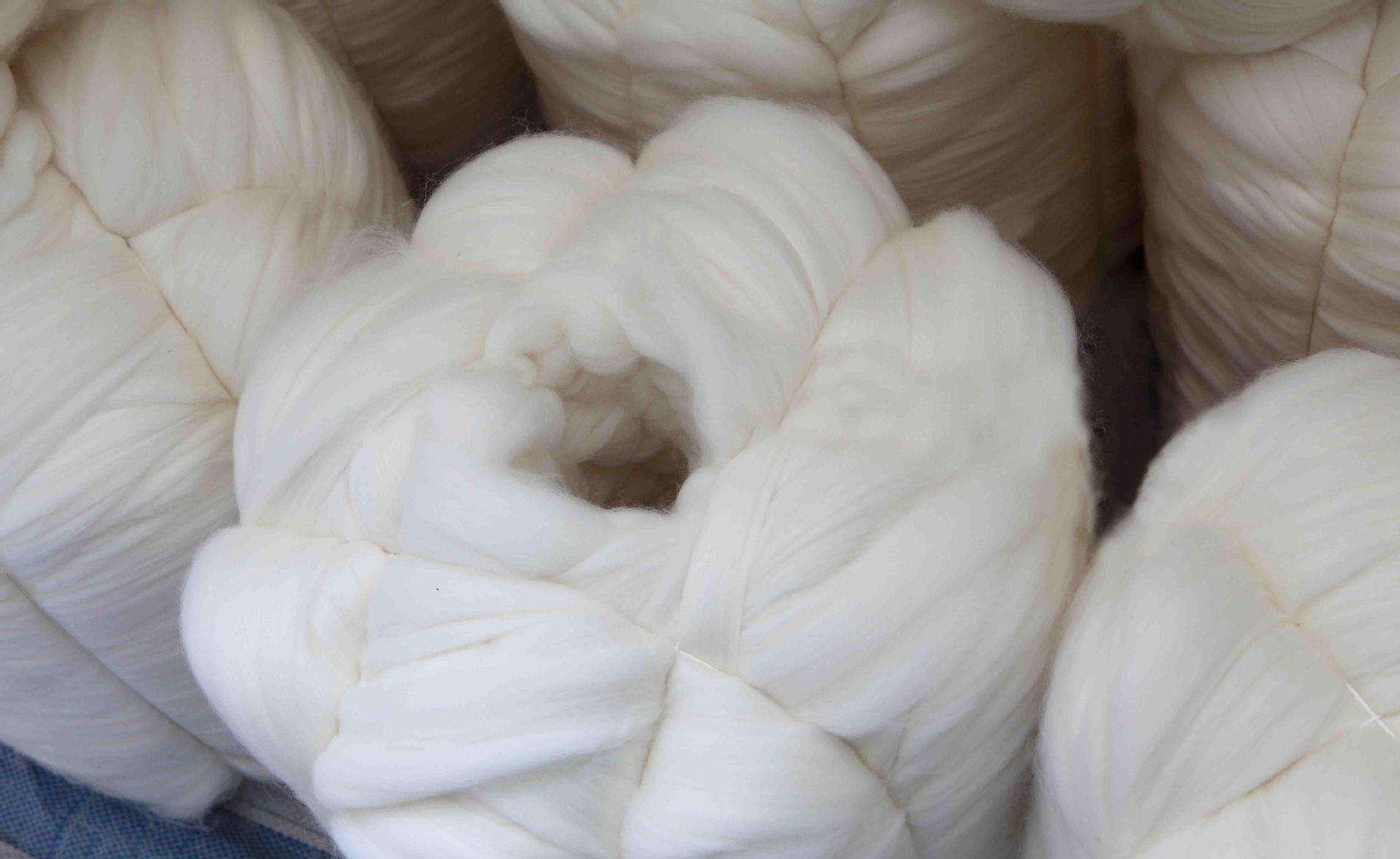 1569393336946225.jpg 2222.jpg